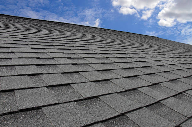 Best Roof Maintenance and Cleaning  in Kingston, PA